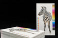 Bamboo Hang Tags 16pt - Clubcard Printing USA