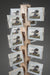 Rotating floor spinner card display rack made in the USA by Clubcard Printing in Palm Springs