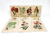 Botanical Greeting Cards - Clubcard Printing USA