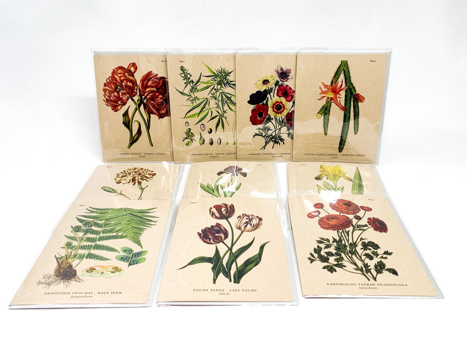 Botanical Greeting Cards - Clubcard Printing USA