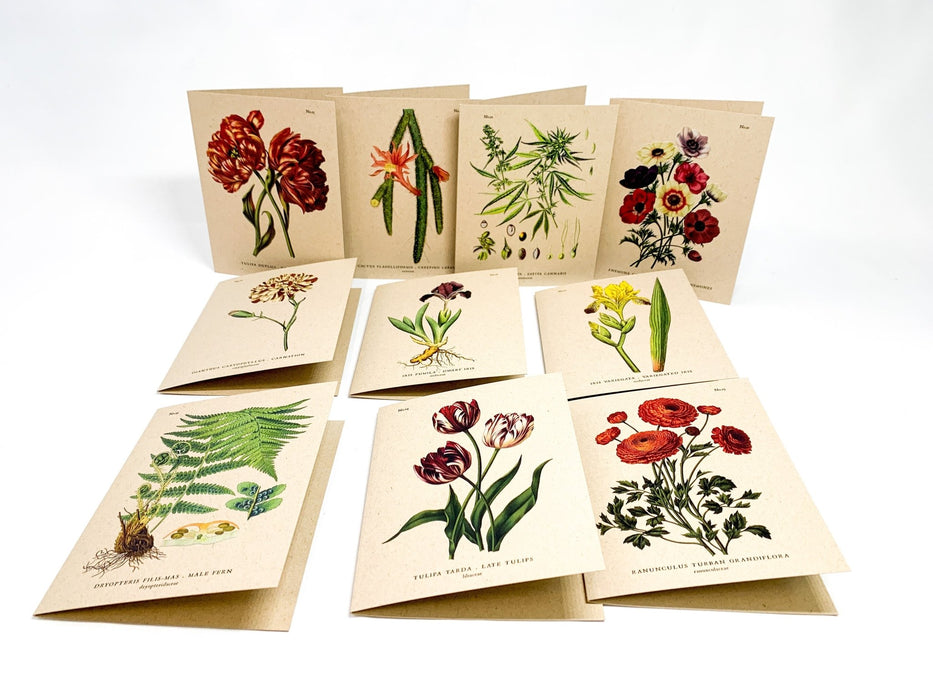 Botanical Greeting Cards - Clubcard Printing USA