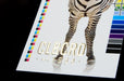 Close-up of Clubcard sample card on 19pt suede stock featuring CLUBCARD logo and and small text in raised gold metallic foil