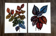 Two archival giclée fine art prints featuring colorful leaf line art illustrations printed on cotton paper