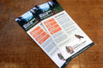 Uncoated Rack Cards 14pt - Clubcard Printing USA